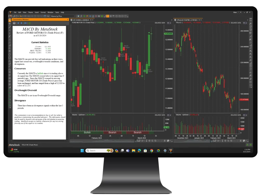 MetaStock Daily Charts Monitor